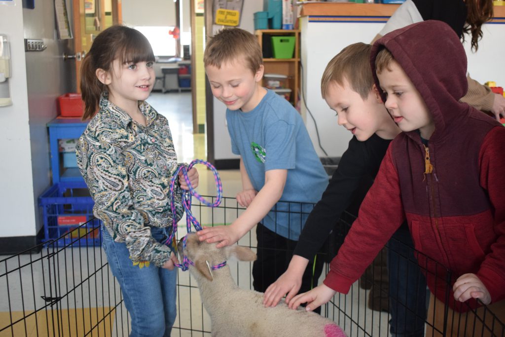 four students pet a lamb