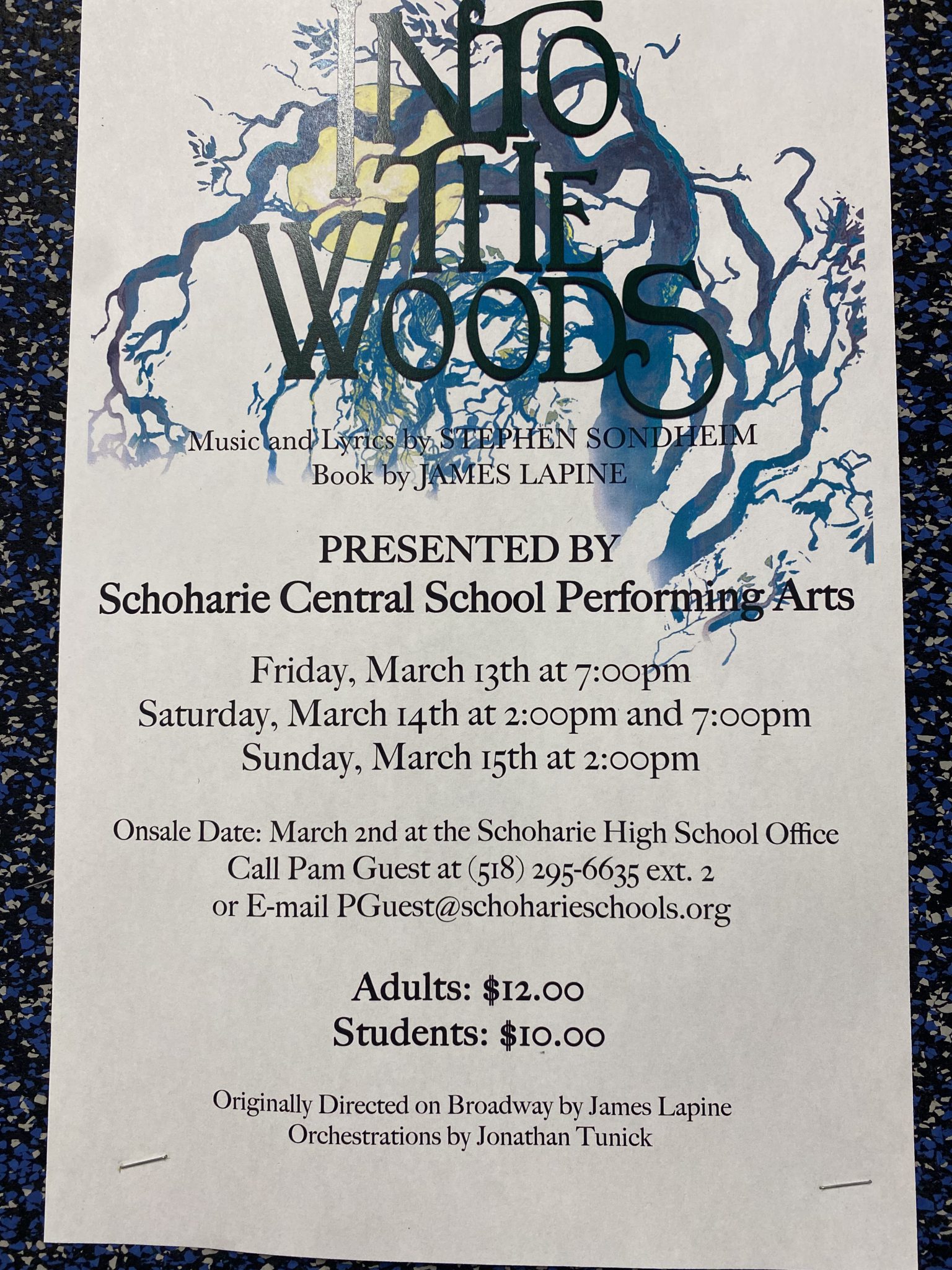 The Stage is Set for Into the Woods - Schoharie Central School District